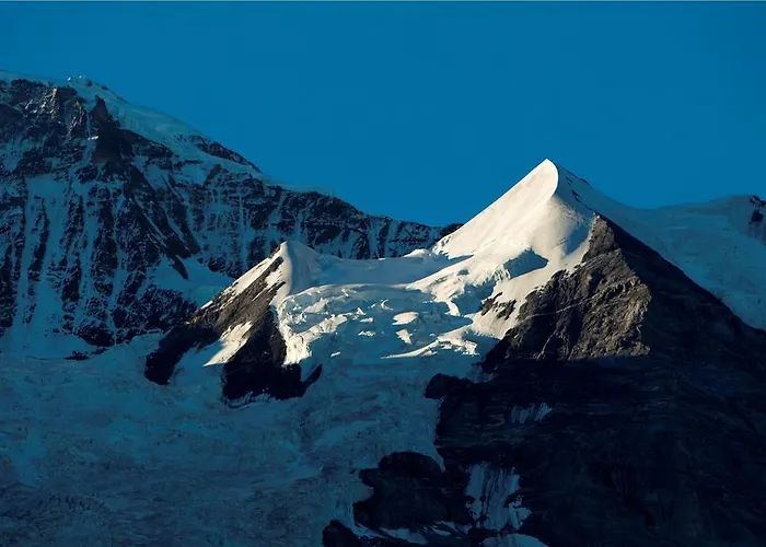 샬레 미라발레 *