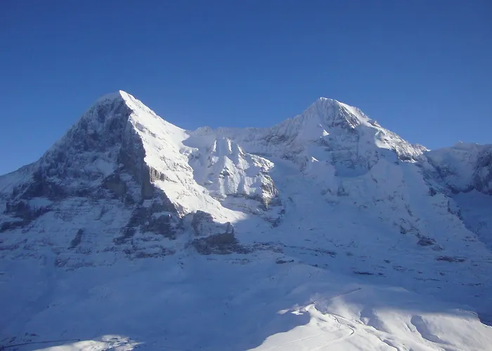 미라발레 * 벤겐