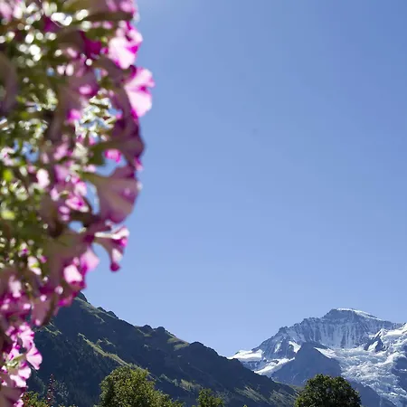 Chalet Miravalle