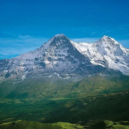 미라발레 샬레 *